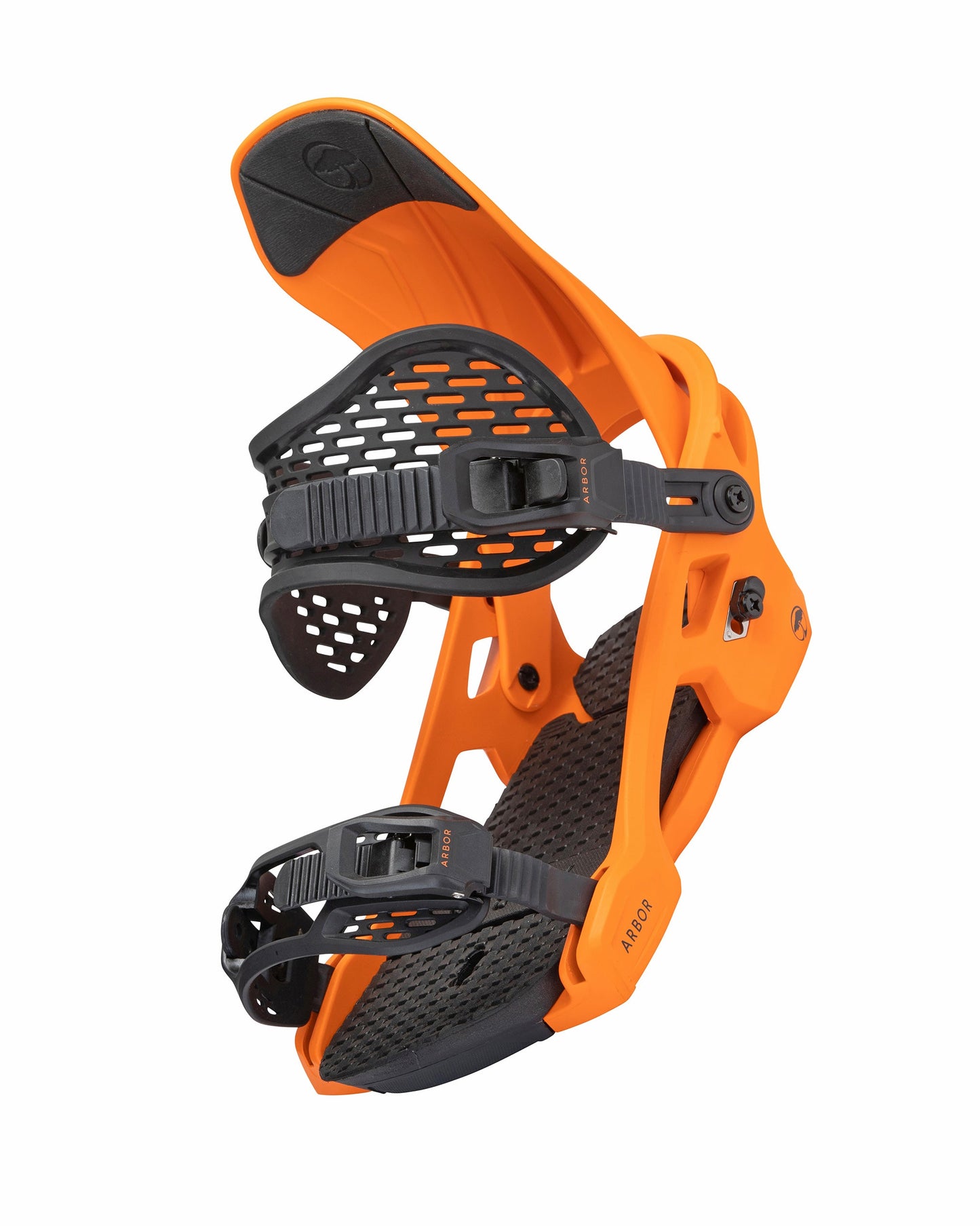 Spruce Orange