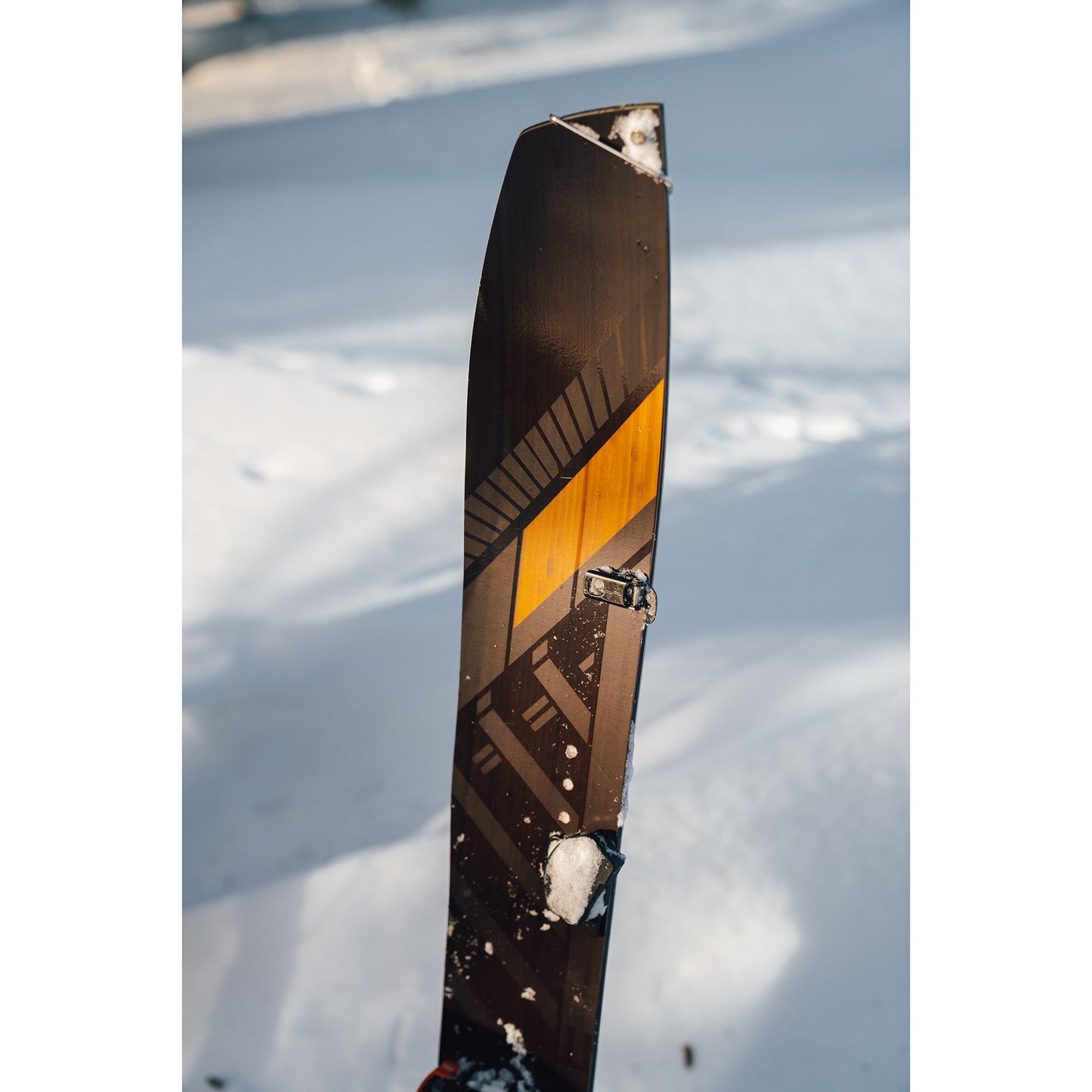 Satori Splitboard Camber