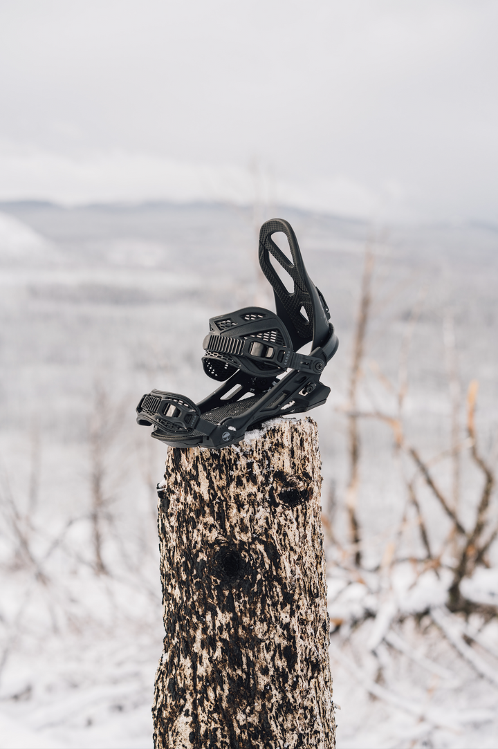 Hemlock Black